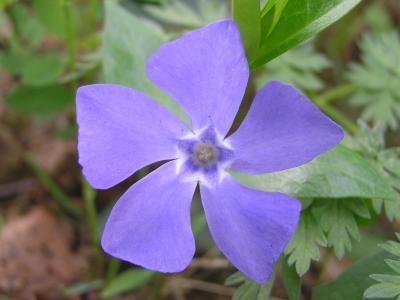 徐來仁LV6AU44M相關圖片