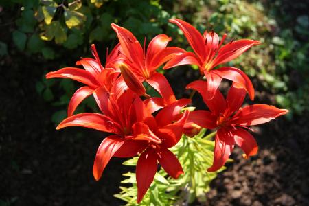 張濬569KULJK相關圖片