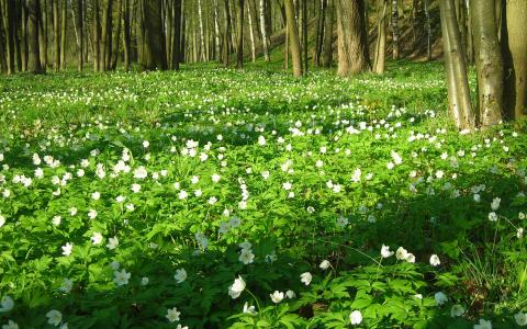 鄔偉瓊FQM9FXFR相關圖片