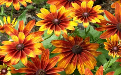 房祥梓1RALR9YD相關(guān)圖片