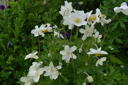 宗赫文SFKZJ42D相關圖片