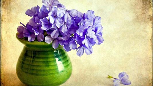 曹永鋼XB2O0ZRE相關圖片