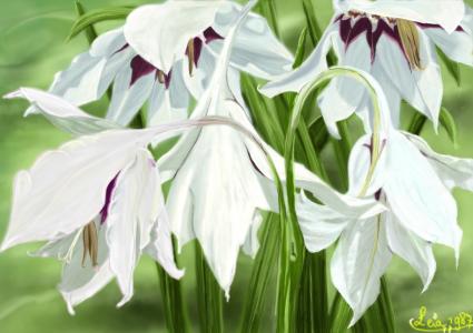 陸施翔QX3JRZQM相關(guān)圖片