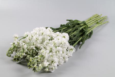 張含蕾LJX7QOGI相關圖片