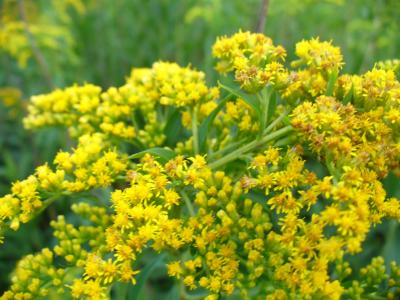 彭光新Y3BJ0ZML相關圖片