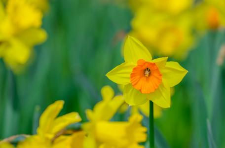 倪學朋DC1C3PSY相關圖片