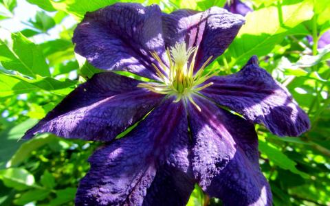 梅齊勛TM9I4S2F相關圖片