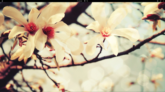 胡丁溪KSBM0N1N相關圖片