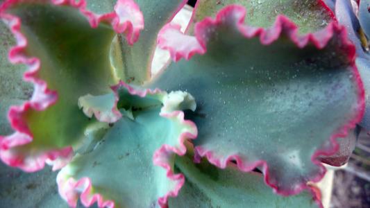 季茂源LMD96GKL相關圖片