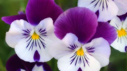 許國風CB73PUQE相關圖片