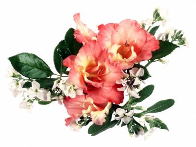 葛運廣KZO28L0X相關圖片