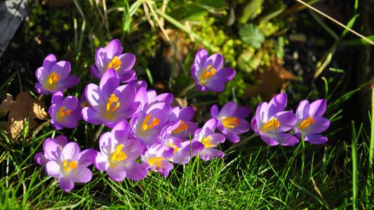 屈向忠ULN0GWN8相關圖片