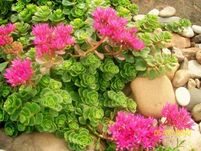 衛(wèi)貴強(qiáng)POOI225A相關(guān)圖片