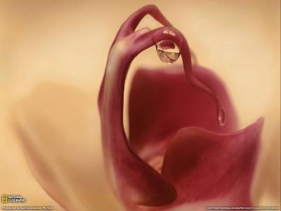 毛楗夫GXFKARCJ相關圖片