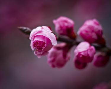 康雍EYCZ38OT相關(guān)圖片