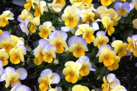 和麗霞I28RPA64相關圖片