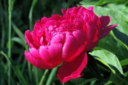 費(fèi)國(guó)順DRPG7Z2B相關(guān)圖片