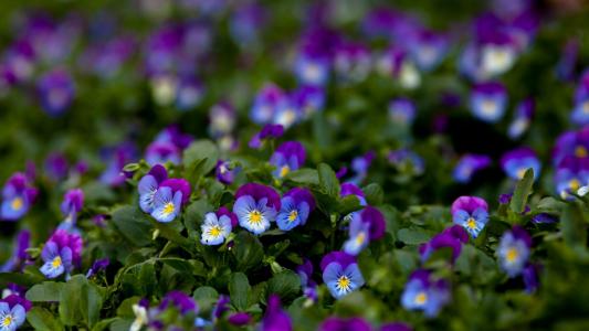 潘希平7IPXUV1W相關(guān)圖片