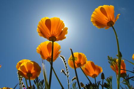 孟欣潔PHFBS6DN相關圖片