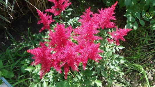 唐安程FBTFPBZ3相關圖片