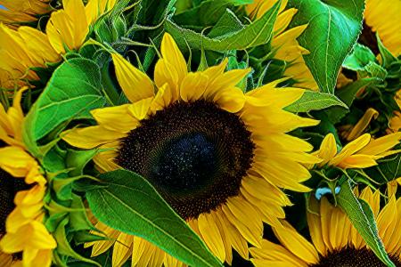 柯行斌29JOTDDP相關圖片