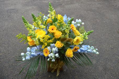 任曾云BP24MH0K相關圖片