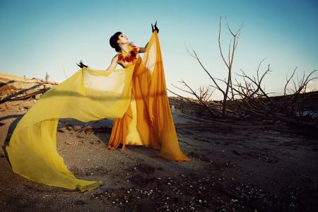 陶滄海20FRNT23相關圖片