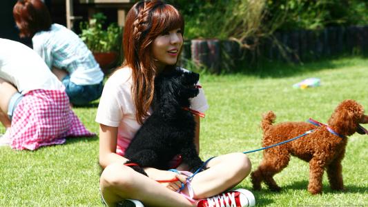 齊致翔Y08UFJED相關圖片