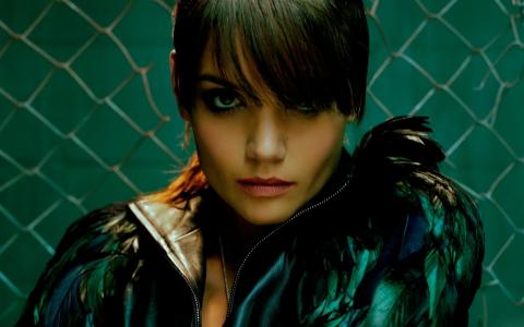 龐玉誠PIN01Z3L相關(guān)圖片