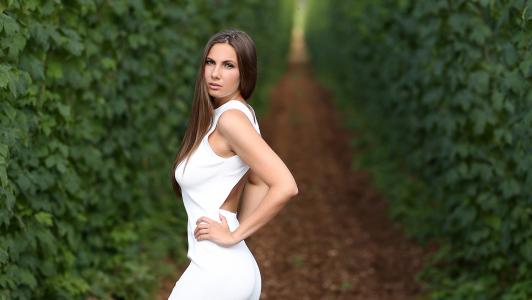 駱少偉8LFSVJMF相關圖片