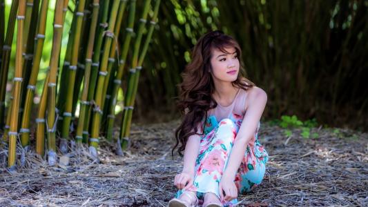 白彥朋BZ40DEQF相關圖片