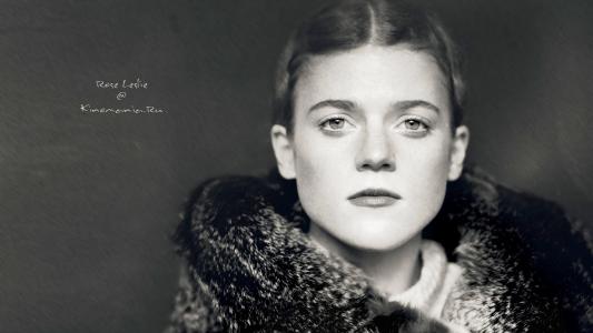 左秀城NOQS24IU相關圖片