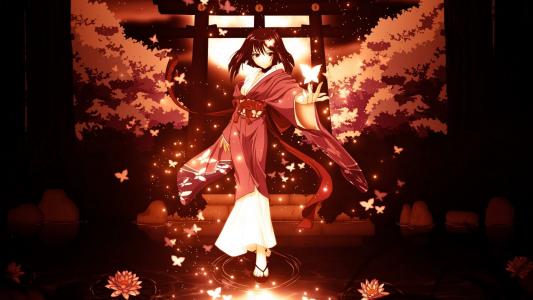 包孝波5RB02232相關圖片