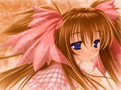 楊巖斌2X9CLW03相關圖片