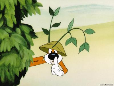 崔錦利6ONIUOOR相關(guān)圖片