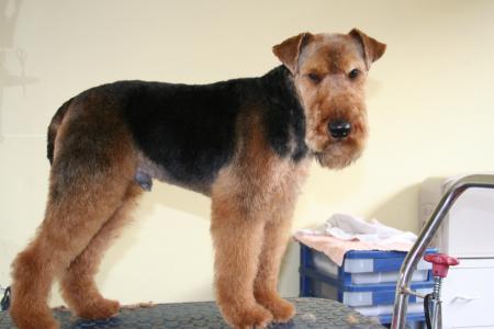 戚英雷QWN1OUH9相關(guān)圖片