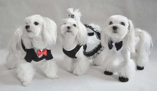 和沐雯T2BHL1LU相關(guān)圖片