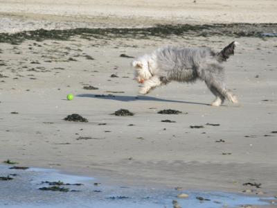 龐幪0G29P0JR相關圖片