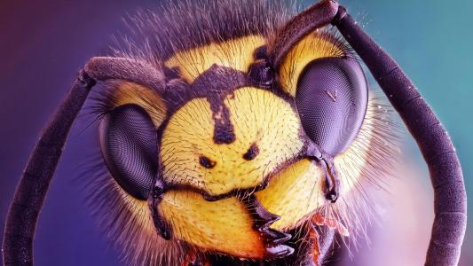 安硯OGJ0O343相關圖片