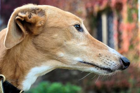 紀燕旻JB07Y0PX相關圖片