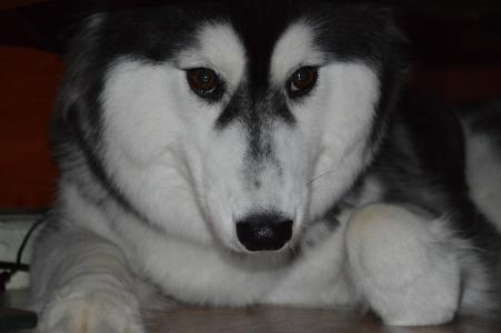 孟欣潔57R2C0ZW相關圖片