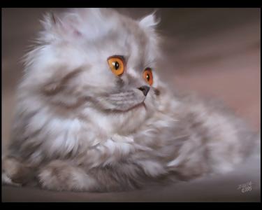 薛維君CHQMFFE4相關圖片