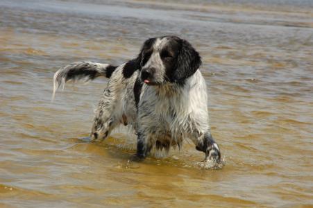 邢來明PJ9ZHGY3相關圖片
