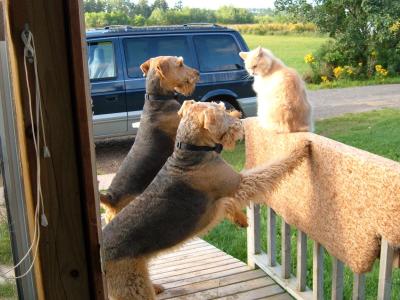 滕玉新167LVWW6相關圖片