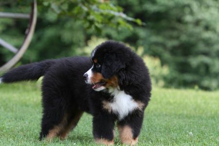 汪良華K0JXJTIZ相關圖片