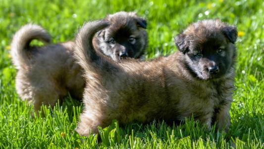 祁小英19DSVNDI相關(guān)圖片