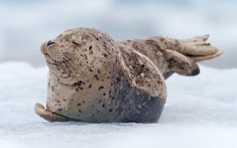 杭再春KJEBABUU相關(guān)圖片