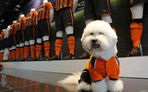 錢寒沖7QDPUOOZ相關圖片