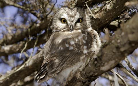 任清理381PHMZB相關圖片