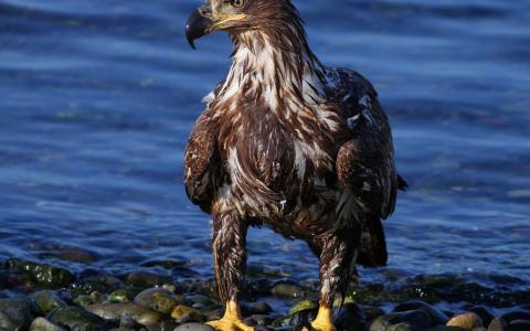 苗佳普K4OU4R8W相關圖片